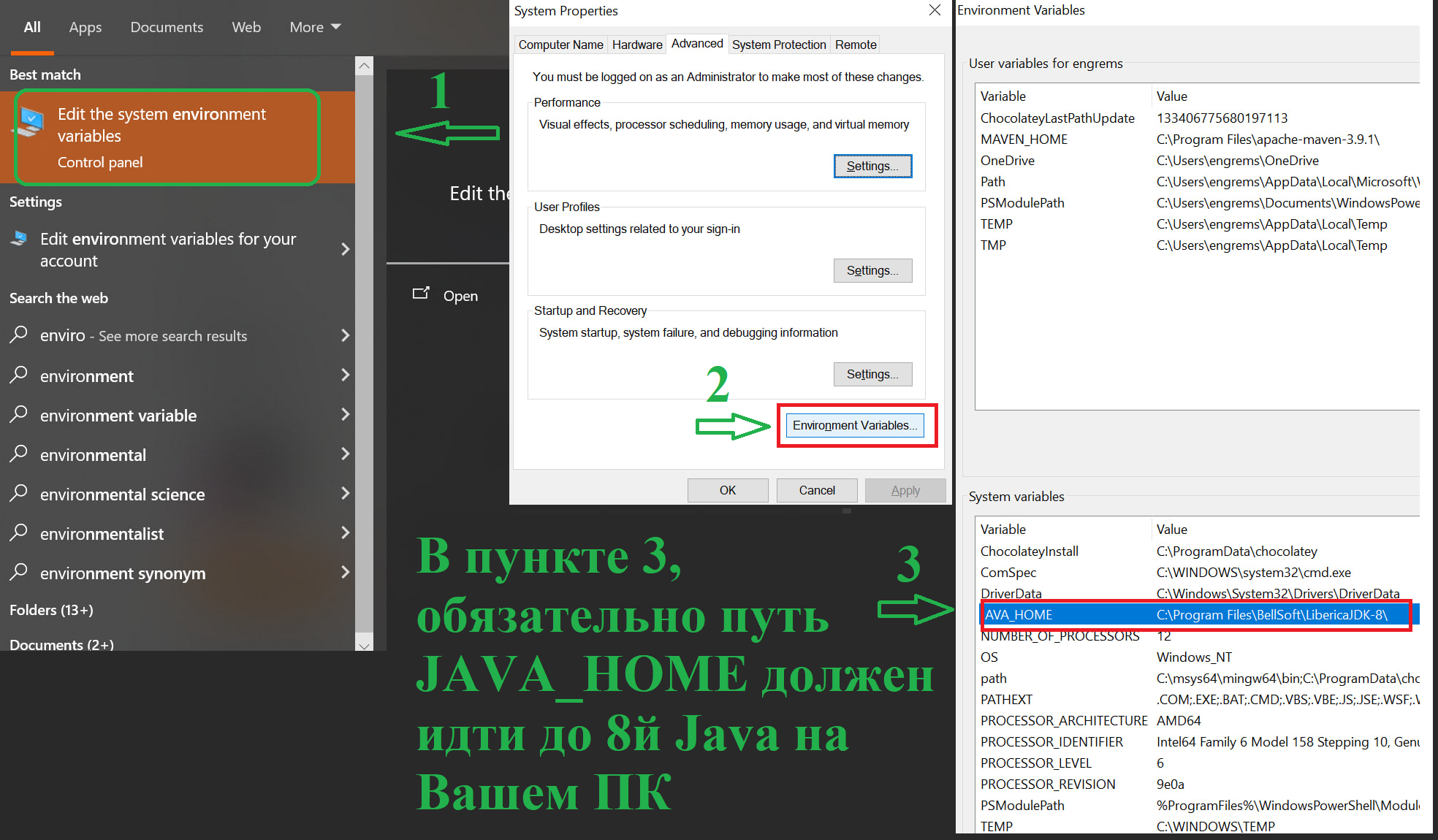 environmental variable